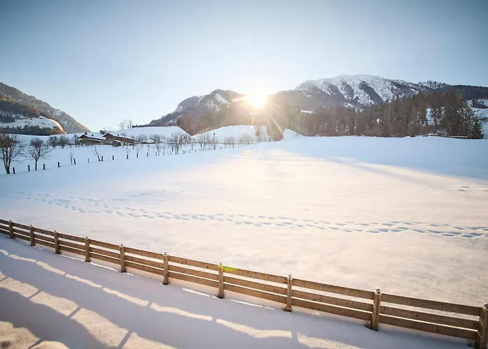 Haus Miller * 蓬高地区圣法伊特